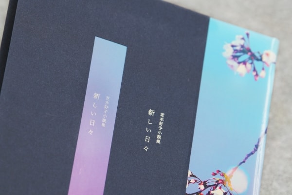 篠原ともえ(1冊200円計算)137冊分292ページ切り抜きしファイリング済み 篠原ともえ(1冊200円計算)137冊分292ページ切り抜きし