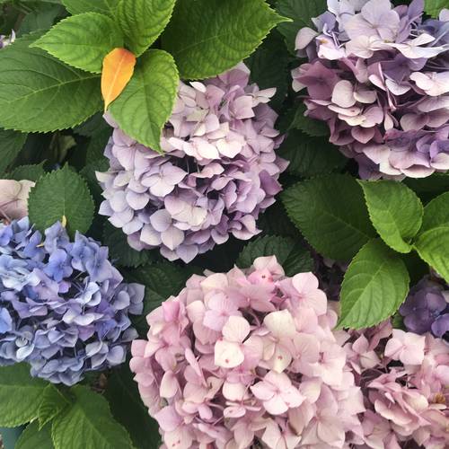 タイトルをもらう