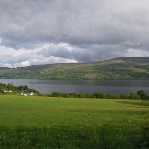 ライティングのお仕事