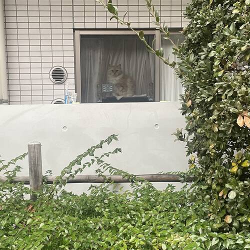 トークセッションとその後