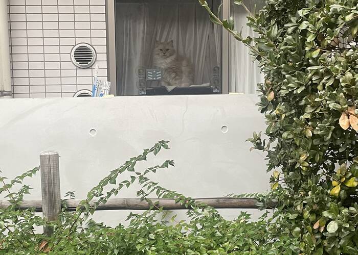 トークセッションとその後